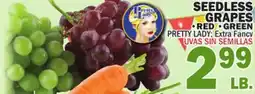 Bravo Supermarkets SEEDLESS GRAPES offer