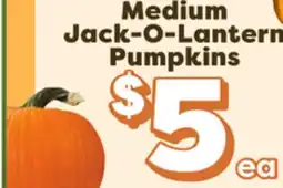 Weis Markets Medium Jack-O-Lantern Pumpkins offer