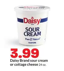 Hy-Vee Daisy Brand sour cream or cottage cheese offer