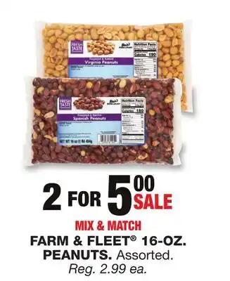 Blain's Farm & Fleet FARM & FLEET 16-OZ PEANUTS offer