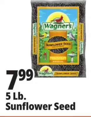 Ocean State Job Lot 5 Lb. Sunflower Seed offer