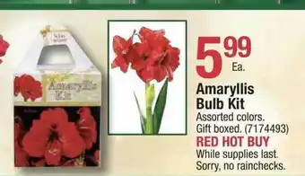 Ace Hardware Amaryllis Bulb Kit offer