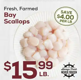 DeCicco & Sons Bay Scallops offer