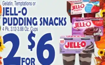 Bravo Supermarkets JELL-O PUDDING SNACKS offer