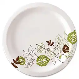 Walmart Dixie Pathways Heavyweight Paper Plates, 500 Count offer