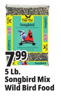 Ocean State Job Lot Better Bird Songbird Better Blends Food 5 lbs offer