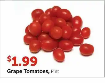 Fareway Grpe Tomatoes Pint offer