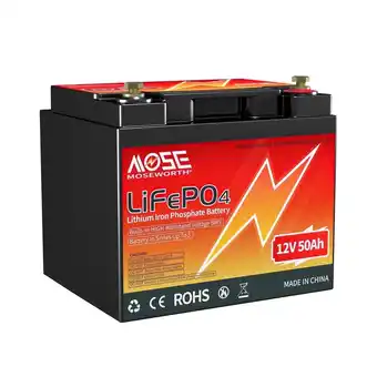 Walmart MOSEWORTH LiFePO4 12V Vehicle Battery, Top Post for RV Marine offer