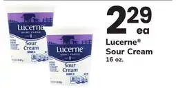 ACME Lucerne Sour Cream offer