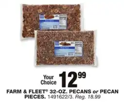 Blain's Farm & Fleet FARM & FLEET 32-OZ. PECANS or PECAN PIECES offer