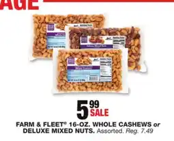 Blain's Farm & Fleet FARM & FLEET 16-OZ. WHOLE CASHEW or DELUXE MIXED NUTS offer