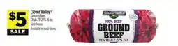 Dollar General Clover Valley Ground Beef Chub offer