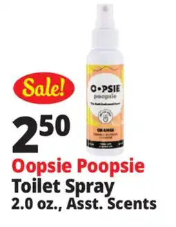 Ocean State Job Lot Oopsie Poopsie Orange & Ginger Toilet Spray 2 oz offer