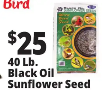 Ocean State Job Lot Black Oil Sunflower Seeds 40 lbs offer