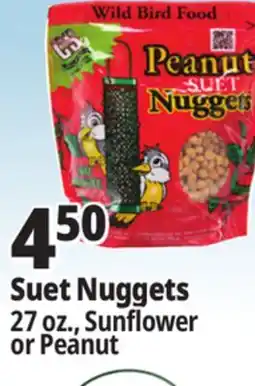 Ocean State Job Lot Suet Nuggets 27 oz., Sunflower or Peanut offer