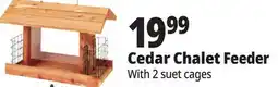 Ocean State Job Lot Cedar Chalet Feeder offer