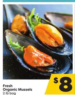 Weis Markets Fresh Organic Mussels offer