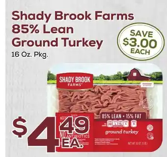 DeCicco & Sons Shady Brook Farms 85% Lean Ground Turkey offer