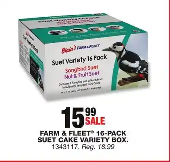 Blain's Farm & Fleet FARM & FLEET 16-PACK SUET CAKE VARIETY BOX offer