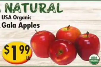 Ideal Food Basket Organic Gala Apples offer