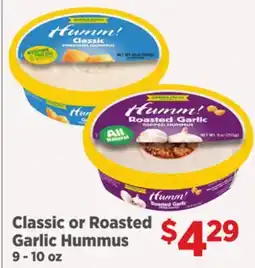 Gordon Food Services Garden Fresh Classic or Roasted Garlic Hummus offer