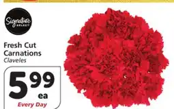 Vons Fresh Cut Carnations offer