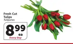 Vons Fresh Cut Tulips offer