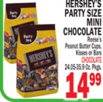 Bravo Supermarkets HERSHEY'S PARTY SIZE MINI CHOCOLATE offer