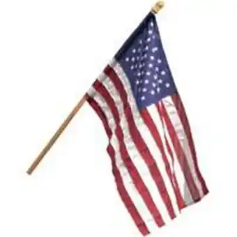 Walmart Valley Forge AA99050 Flag Pole Kit Polyester offer