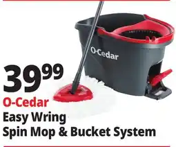 Ocean State Job Lot Easy Wring Spin Mop & Bucket System offer