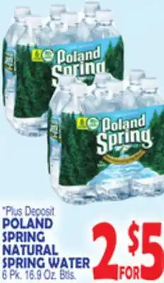 Bravo Supermarkets POLAND SPRING NATURAL SPRING WATER offer