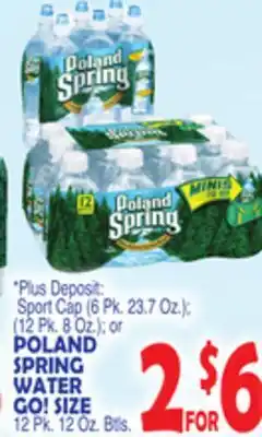 Bravo Supermarkets POLAND SPRING WATER GO! SIZE 12 Pk. 12 Oz. Btls offer