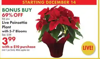 Boscov's Live Poinsettia Plant with 5-7 Blooms offer