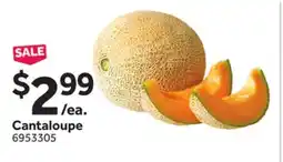 Stop&Shop Cantaloupe offer