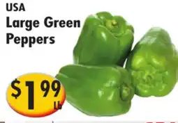 Ideal Food Basket Large Green Peppers offer