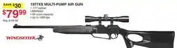 Dunham's Sports WINCHESTER 1977XS MULTI-PUMP AIR GUN offer