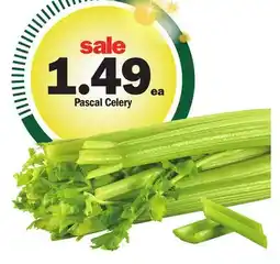 Meijer Pascal Celery offer