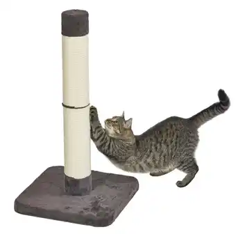 Walmart Feline Nuvo Medium, Forte Scratching Post- Brio offer