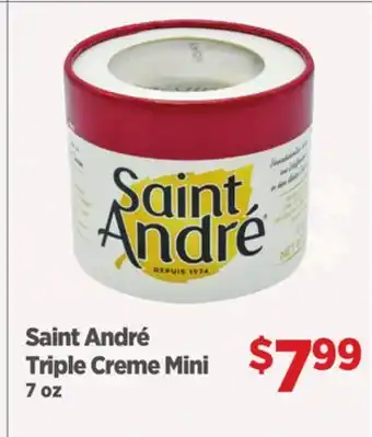 Gordon Food Services Saint André Triple Creme Mini offer