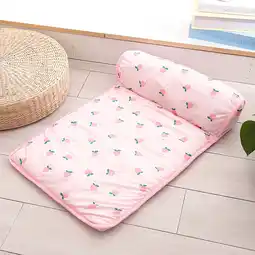 Walmart Hmsavn Summer Cat/Dog Ice Silk Bed,Ice Cushion Pet Ice Cushion Children's Ice Cushion offer