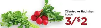 Food 4 Less Cilantro or Radishes offer