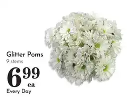 Pavilions Glitter Poms offer