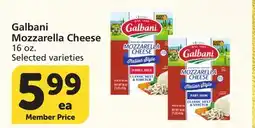 Albertsons Galbani Mozzarella Cheese offer