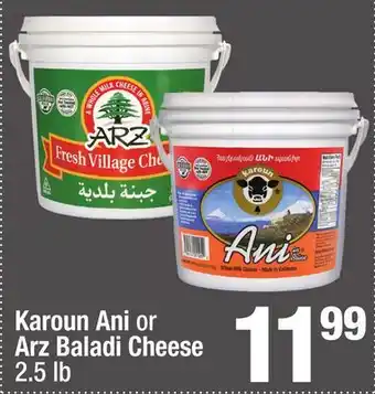 Super King Markets Karoun Ani or Arz Baladi Cheese offer