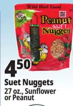 Ocean State Job Lot C&S Sunflower Suet Nuggets 27 oz offer