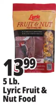 Ocean State Job Lot Lyric Fruit and Nut High Energy Wild Bird Food Mix 5 lbs offer