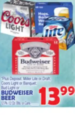 Bravo Supermarkets BUDWEISER BEER offer