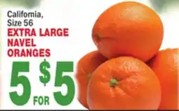 Bravo Supermarkets EXTRA LARGE NAVEL ORANGES offer