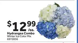 Stop&Shop Hydrangea Combo offer