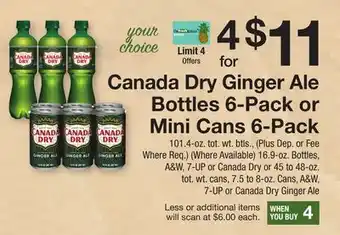 The Fresh Grocer Ginger Ale Bottles 6-Pack or Mini Cans 6-Pack offer